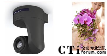 �������^���r��������